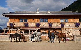 Margit's Ranch Urlaub am Pferdehof
